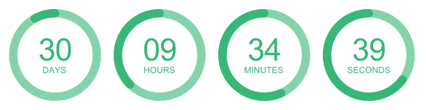 Animated ring-style email countdown timer